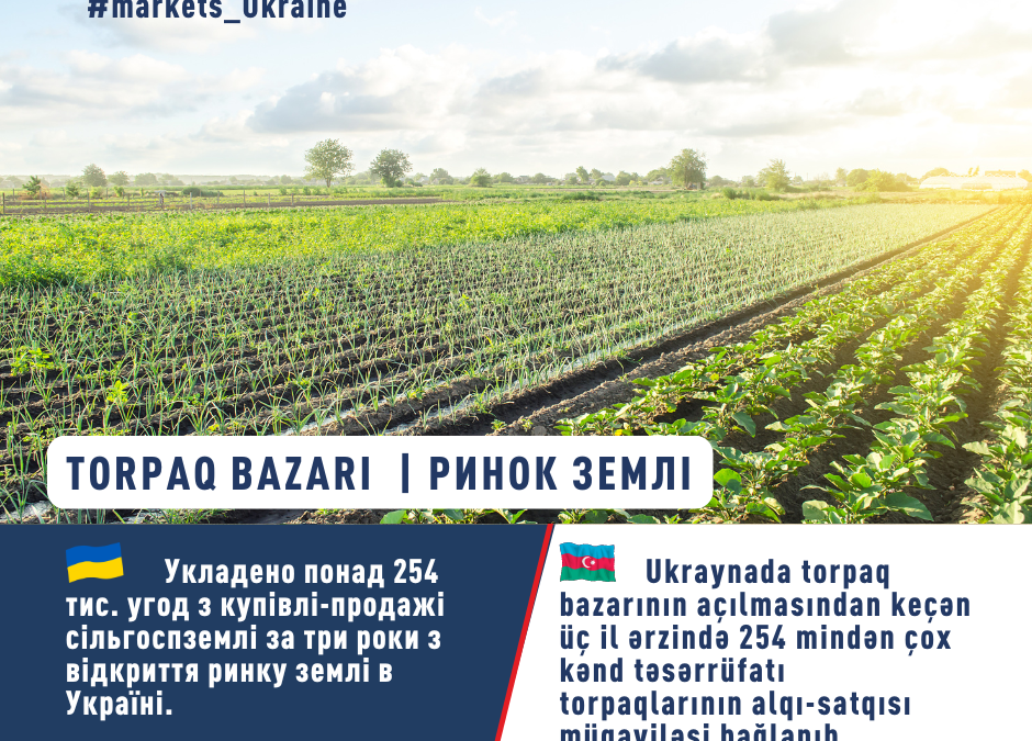 УКРАЇНСЬКИЙ РИНОК ЗЕМЛІ: ПРОДАНО 567 ТИС. ГА УГІДЬ