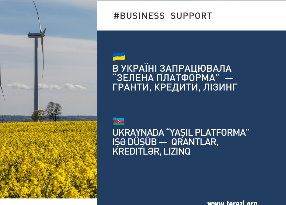 Ukraynanın yaşıl energetikası: biznes üçün yeni imkanlar